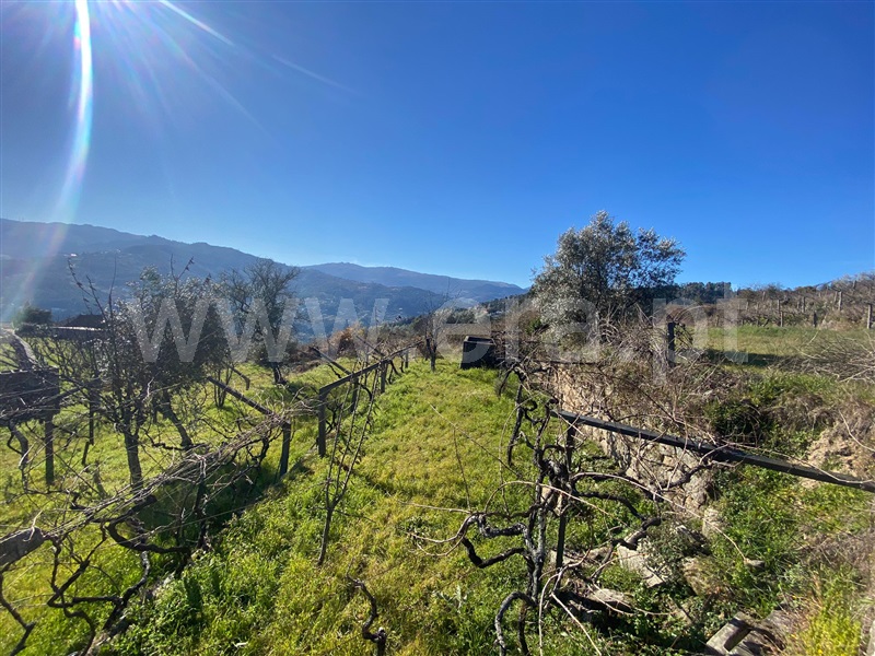 Terreno  Baião, Ancede e Ribadouro - 1182384 - 10