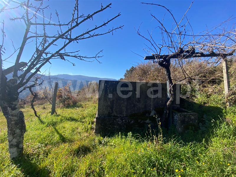 Terreno  Baião, Ancede e Ribadouro - 1182384 - 11