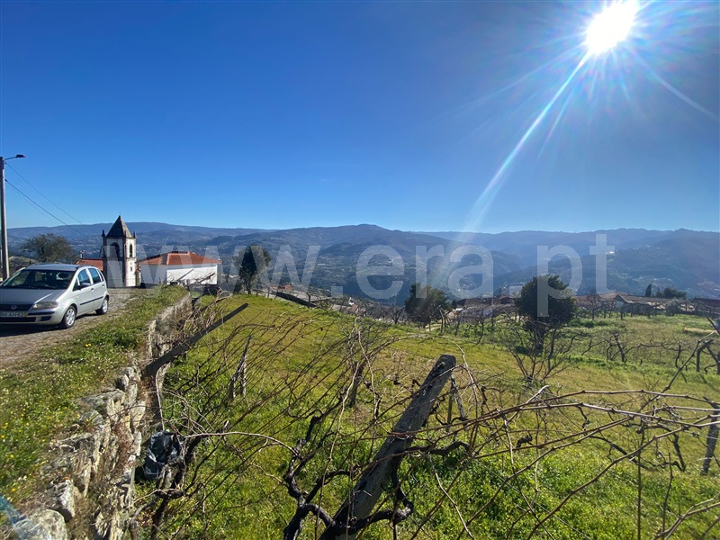 Terreno / Baião, Ancede e Ribadouro
