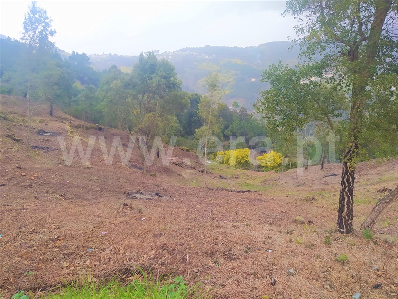 Terreno / Baião, Ancede e Ribadouro