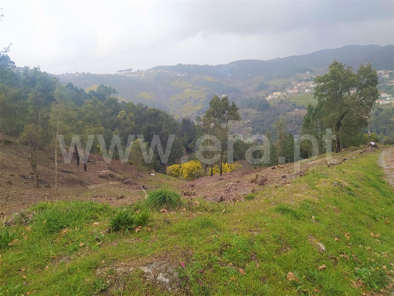 Terreno  Baião, Ancede e Ribadouro - 1358644 - 4