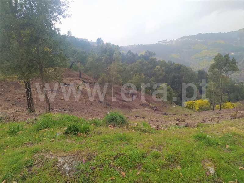 Terreno  Baião, Ancede e Ribadouro - 1358644 - 6