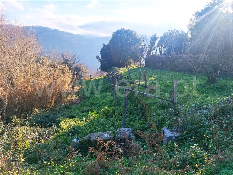 Terreno / Baião, Ancede e Ribadouro