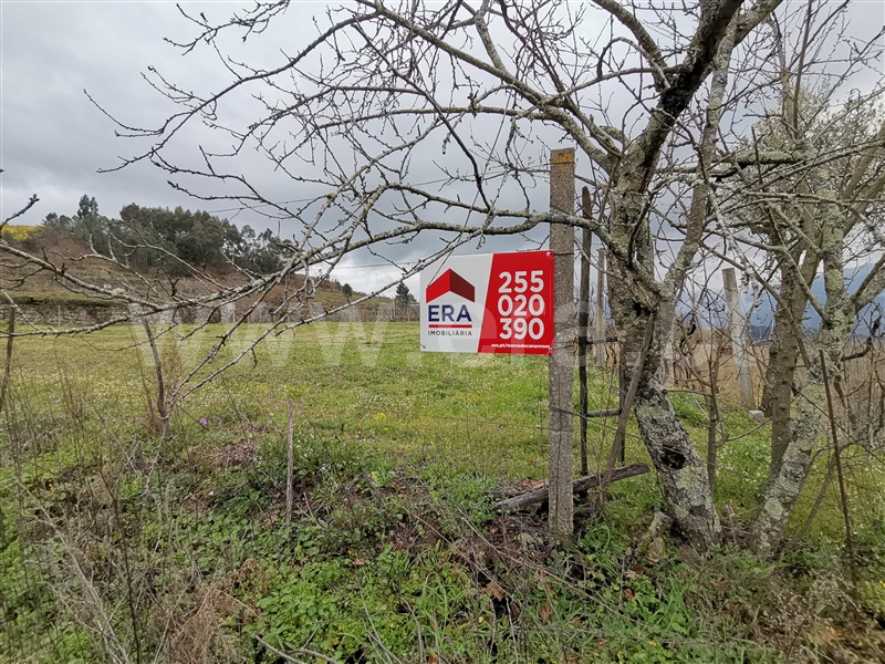 Terreno / Baião, Baião (Santa Leocádia) e Mesquinhata