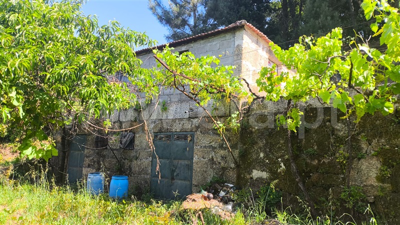 Terreno / Baião, Baião (Santa Leocádia) e Mesquinhata