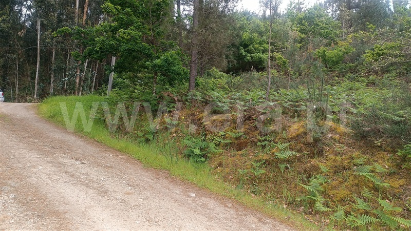 Terreno  Baião, Baião (Santa Leocádia) e Mesquinhata - 1477790 - 5
