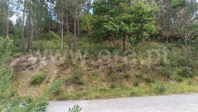 Terreno  Baião, Baião (Santa Leocádia) e Mesquinhata - 1477790 - 7