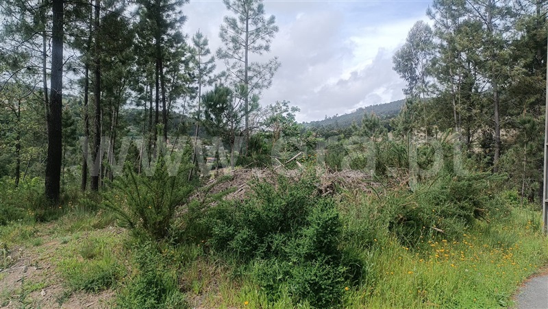 Terreno  Baião, Baião (Santa Leocádia) e Mesquinhata - 1477790 - 8
