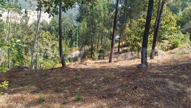 Terreno  com Rústico Baião, Baião (Santa Leocádia) e Mesquinhata - 1477790 - 15