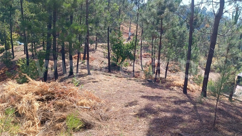 Terreno  com Rústico Baião, Baião (Santa Leocádia) e Mesquinhata - 1477790 - 16