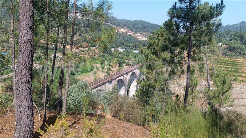 Terreno / Baião, Baião (Santa Leocádia) e Mesquinhata