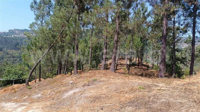 Terreno  com Rústico Baião, Baião (Santa Leocádia) e Mesquinhata - 1477790 - 22