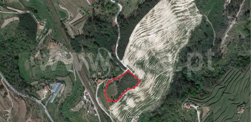 Terreno  Baião, Baião (Santa Leocádia) e Mesquinhata - 889729 - 2