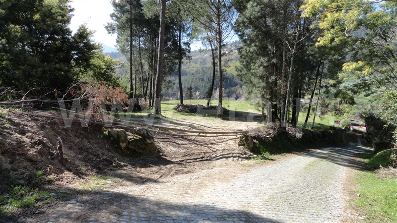 Terreno  Baião, Baião (Santa Leocádia) e Mesquinhata - 889729 - 5
