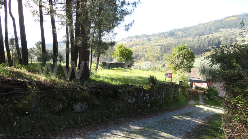 Terreno  Baião, Baião (Santa Leocádia) e Mesquinhata - 889729 - 6