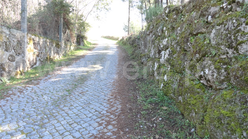 Terreno  Baião, Baião (Santa Leocádia) e Mesquinhata - 889729 - 7
