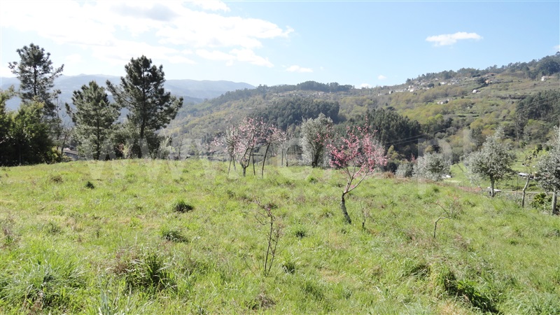 Terreno  Baião, Baião (Santa Leocádia) e Mesquinhata - 889729 - 8