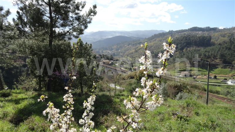 Terreno  Baião, Baião (Santa Leocádia) e Mesquinhata - 889729 - 10