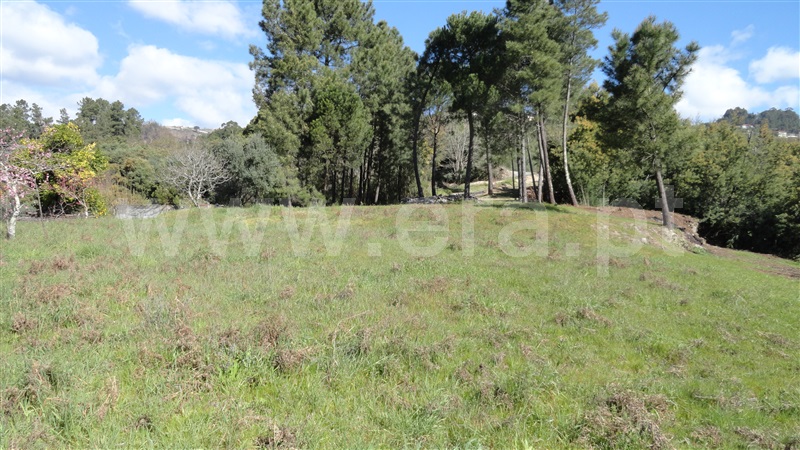 Terreno  Baião, Baião (Santa Leocádia) e Mesquinhata - 889729 - 11