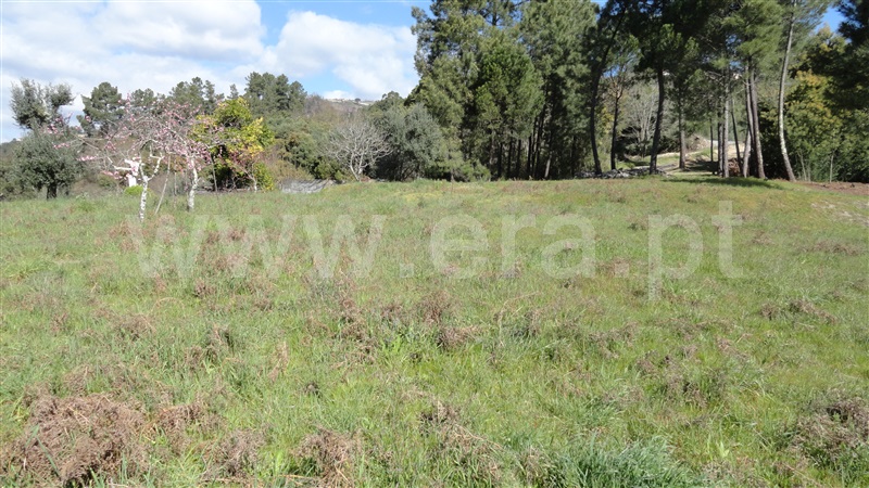 Terreno  Baião, Baião (Santa Leocádia) e Mesquinhata - 889729 - 12