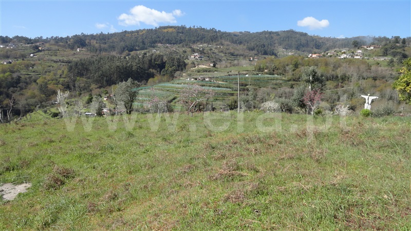 Terreno  Baião, Baião (Santa Leocádia) e Mesquinhata - 889729 - 14
