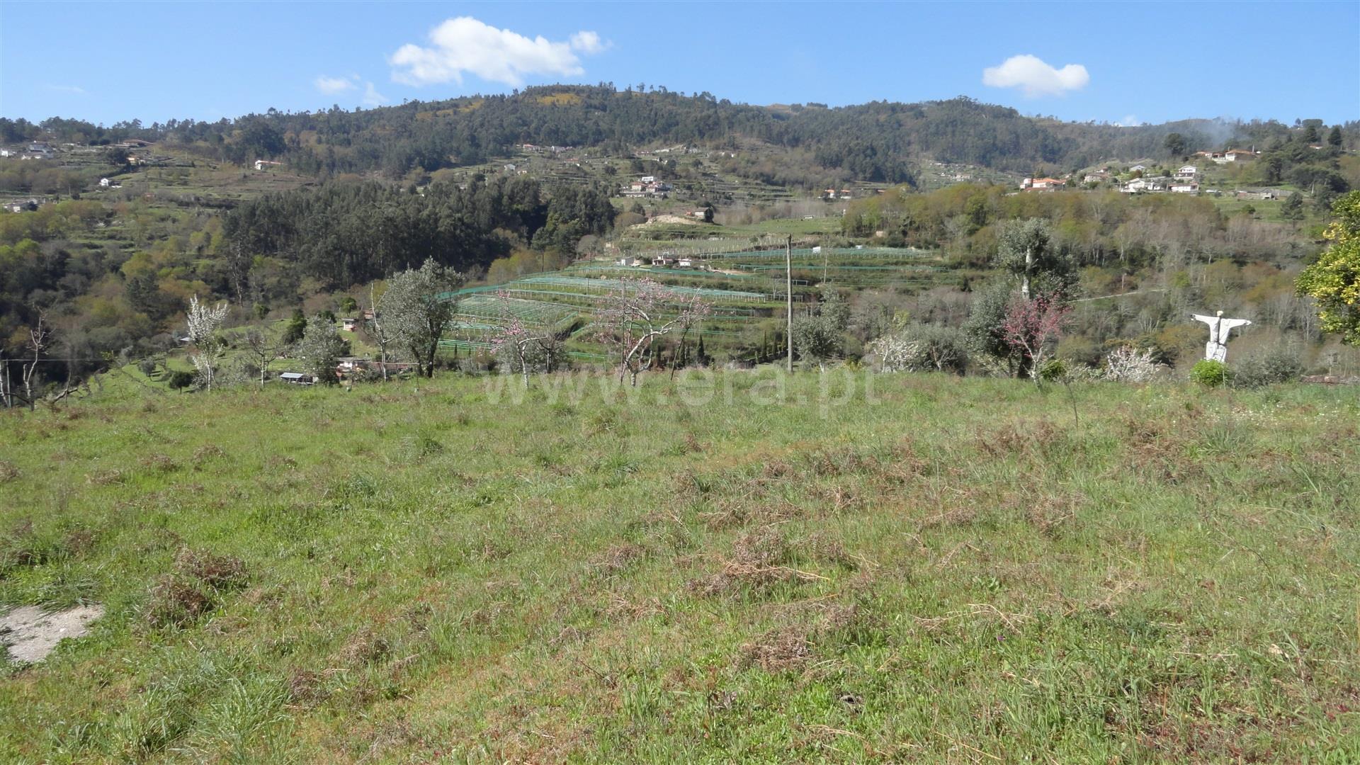Land for sale in Baião, Portugal — €77,000