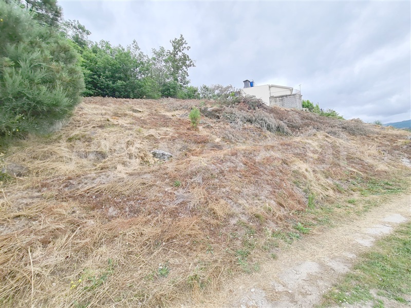 Terreno  Baião, Campelo e Ovil - 1096934 - 12