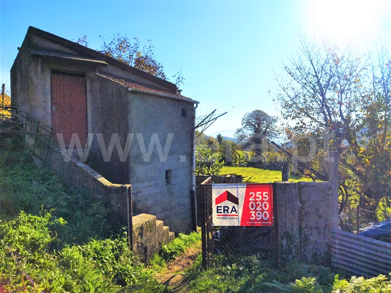 Terreno / Baião, Campelo e Ovil