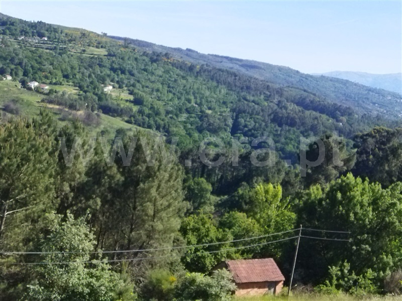 Terreno / Baião, Campelo e Ovil