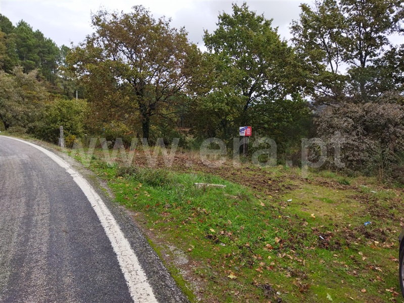 Terreno  Baião, Campelo e Ovil - 1252019 - 3