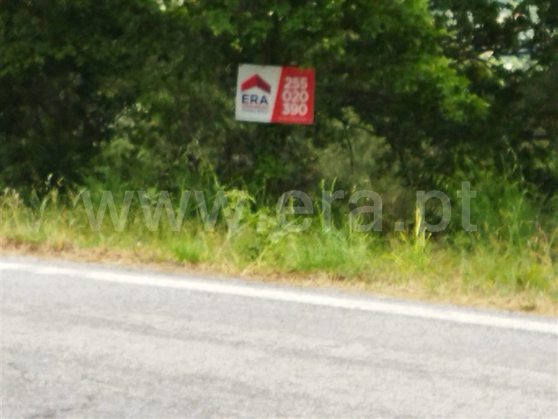 Terreno  Baião, Campelo e Ovil - 1252020 - 2