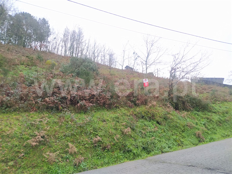 Terreno  Baião, Campelo e Ovil - 1297092 - 3