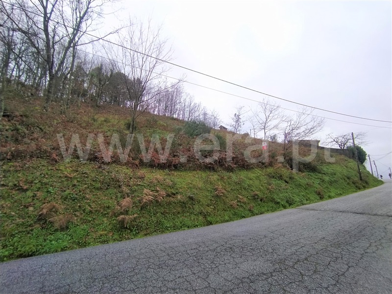 Terreno  Baião, Campelo e Ovil - 1297092 - 4