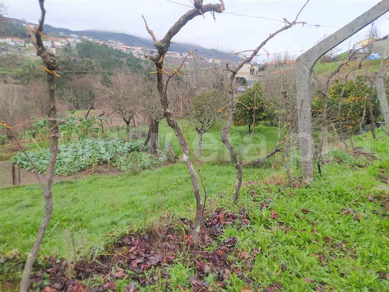 Terreno  Baião, Campelo e Ovil - 1297092 - 5