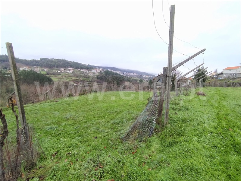 Terreno  Baião, Campelo e Ovil - 1297092 - 7