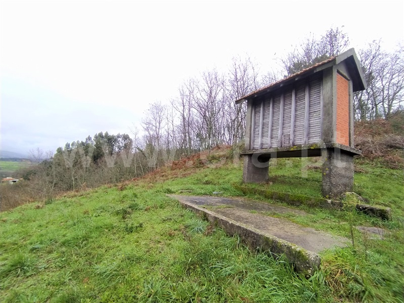 Terreno / Baião, Campelo e Ovil