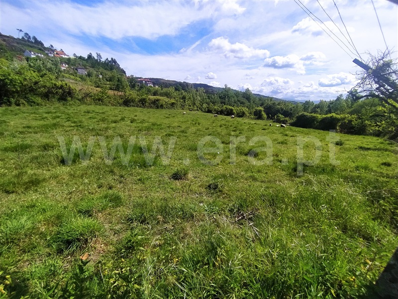 Terreno  Baião, Campelo e Ovil - 1326899 - 1
