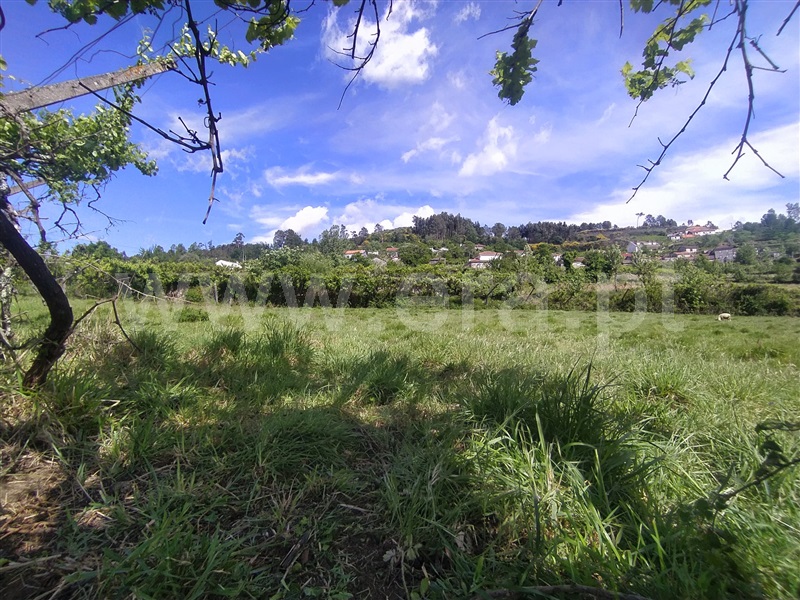 Terreno  Baião, Campelo e Ovil - 1326899 - 2