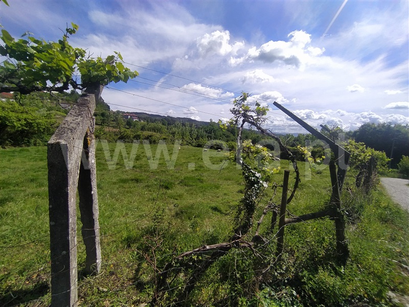 Terreno  Baião, Campelo e Ovil - 1326899 - 4