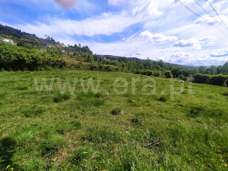 Terreno  Baião, Campelo e Ovil - 1326899 - 5