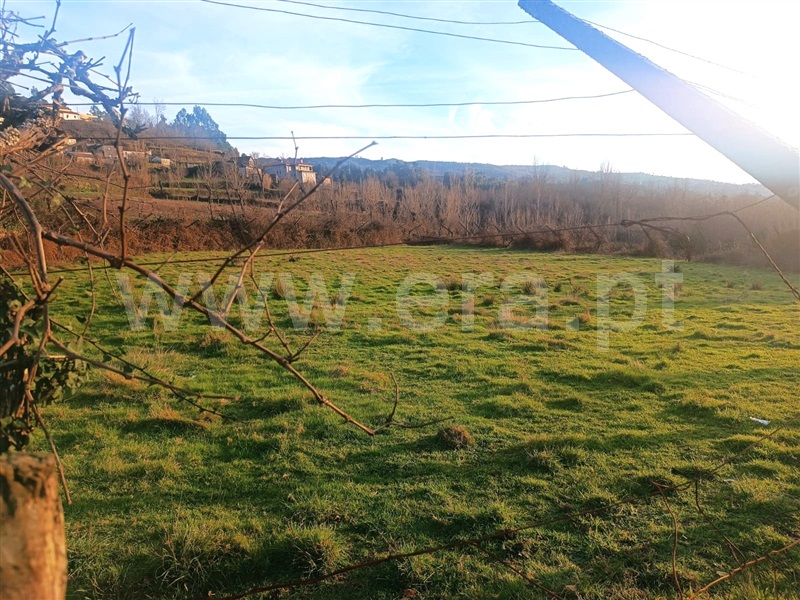 Terreno  Baião, Campelo e Ovil - 1326899 - 6