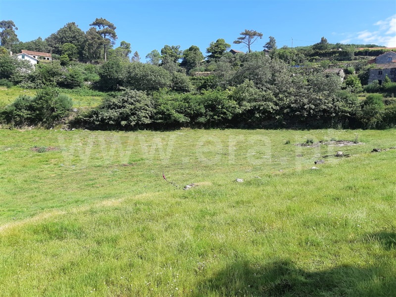 Terreno  Baião, Campelo e Ovil - 1333478 - 7