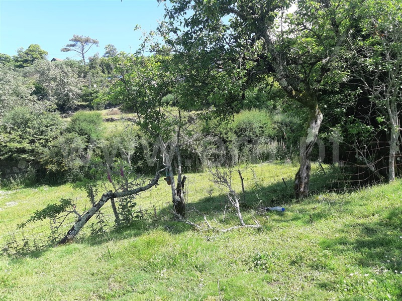 Terreno  Baião, Campelo e Ovil - 1333478 - 8
