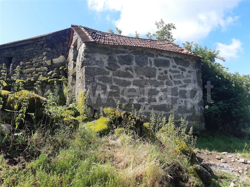 Terreno  Baião, Campelo e Ovil - 1333478 - 13