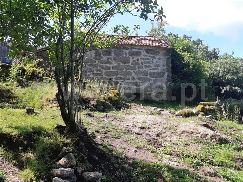 Terreno  Baião, Campelo e Ovil - 1333478 - 15