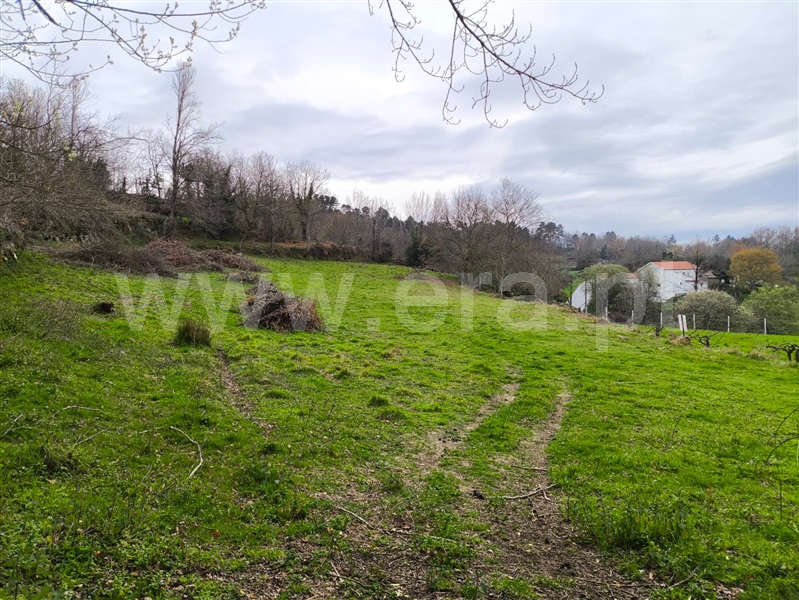 Terreno  Baião, Campelo e Ovil - 1472871 - 2