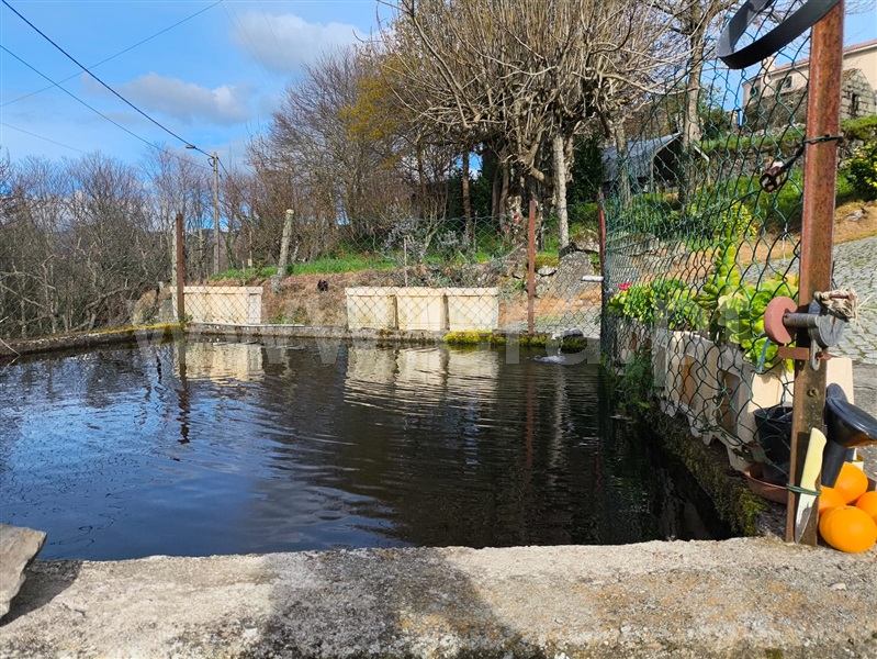 Terreno / Baião, Campelo e Ovil