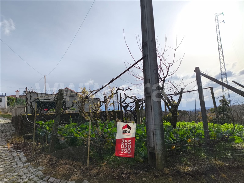 Terreno  Baião, Campelo e Ovil - 1472871 - 6