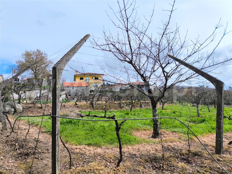 Terreno  Baião, Campelo e Ovil - 1472871 - 9