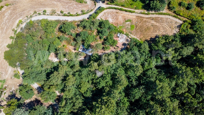 Terreno / Baião, Campelo e Ovil